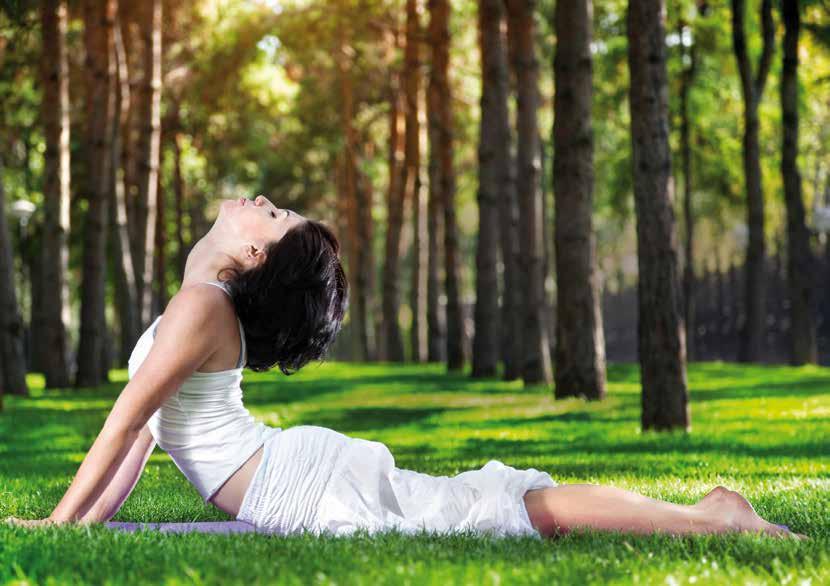 Ayurveda Yoga Yoga for your Ayurvedic