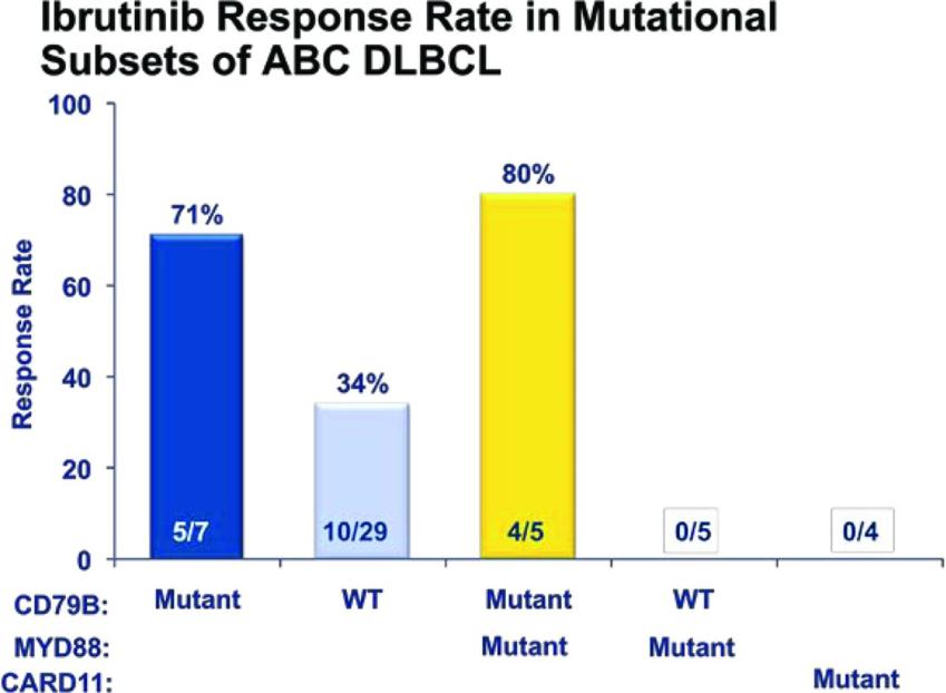 Ibrutinib in relapsed DLBCL patients with ABC versus GCB subtype ABC subtype (N=29) GCB subtype Unclassifiable (N=20) 1 (N=16) Unknown 2 (N=5) Total (N=70) Not Evaluable for Response 4 1 3 2 10 PP