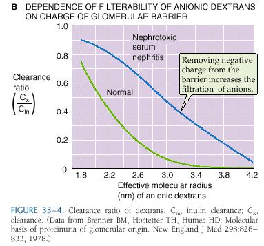 Figure 334B Clearance ratios of dextran sulfate are uniformly greater in the animals with nephritis.