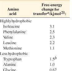 Amino acid Free-energy change for transfer (kjmol -1 ) Hydropathy scale for amino acid