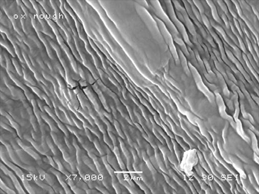SEM High-magnification observation by means of an SEM revealed that TEMPOmediated oxidation somewhat modified the smoothness of the surfaces of the oxidized TMP long fibers.