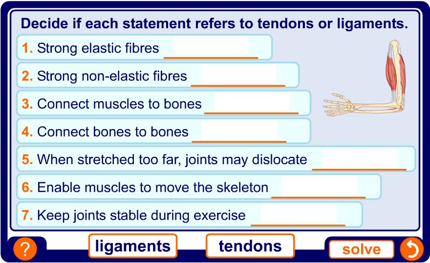 Tendons and