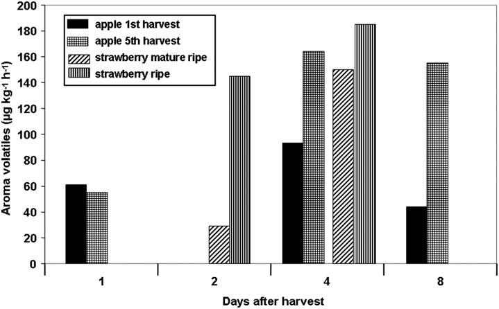 Fig. 4. Aroma volatile production of apple (cv. Golden Delicious) and strawberry (cv. Korona) fruit harvested at the immature and mature stage.