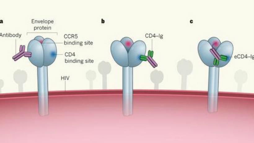 Blocking HIV entry Post-CROI