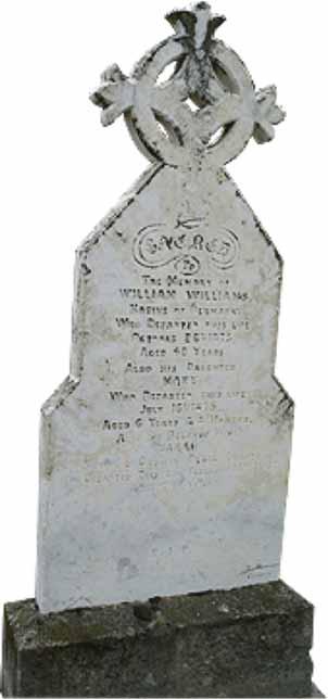 Fact Sheet Detailed spreadsheet deaths for Block 3 - page 1 Williams Headstone Block 3 Plot 9 & 10 Plot Name Date of Death Cause of death Age at death 1 John George Milns 20 April 1874 Typhoid 21 2
