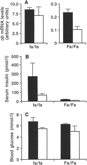 M Igel et al: Long-term and rapd regulaton of obmrna levels 763 Table 3 Metabolc characterstcs of Sprague Dawley rats of dfferent age SD SD SD SD fa/fa Body weght (g) 100 200 300 400 300 Age (weeks)