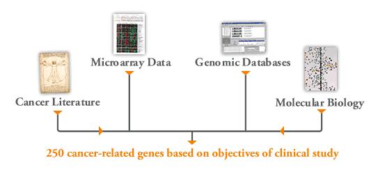 Oncotype DX Selection Process RT-PCR Technology 250 candidate genes derived from the