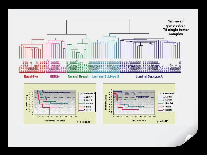 Identified molecular intrinsic subtypes for Invasive Ductal Carcinoma Demonstrated statistically different rates