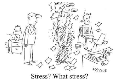 Types of Stress o Threat o