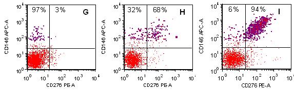 CD276 expression, a novel tumor associated marker on CEC