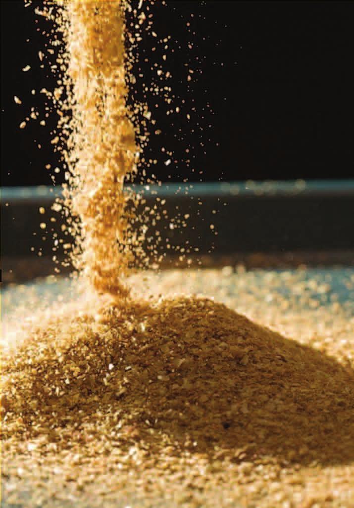 Maize Dried Distillers Grains with Solubles (DDGS) A New Alternative Ingredient in Aquafeeds Jerry Shurson 1 As global consumer demand for fish and shellfish products continues to increase, and the