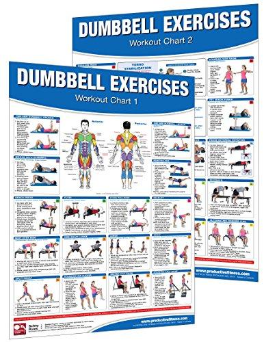 B.e.s.t Dumbbell Workout Poster/Chart Set: Shoulder Training - Dumbbell Exercises Poster - Dumbbell Workout Chart - Dumbell Workout Poster - Dumbell Exercises.