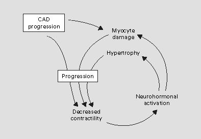 Goals in the management of post-myocardial infarction with left ventricular dysfunction Prevent future coronary events (CAD progression) Improve symptoms Attenuate progressive