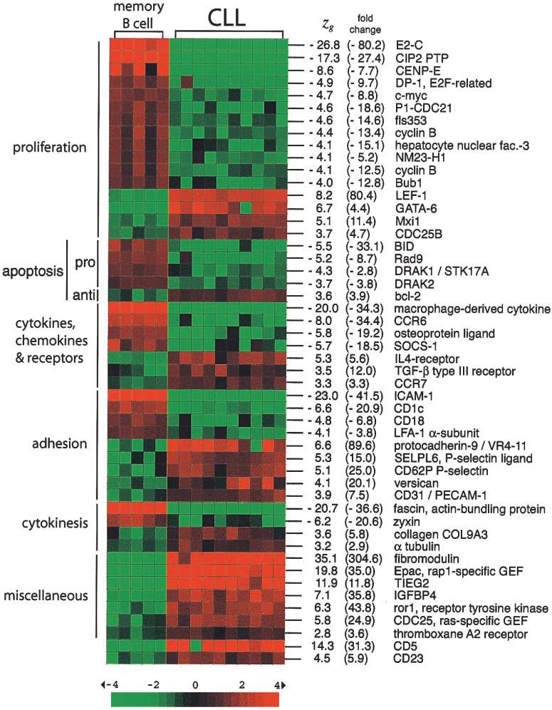 Figure 4. Identification of genes specifically expressed in CLLs vs. memory B cells.