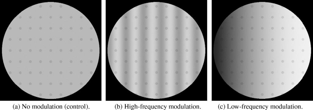 M. van den Berg et al. / Vision Research 51 (2011) 1360 1371 1363 Fig. 5. Three different sinusoidal backgrounds used in Experiment 1A The dot lattices were presented with three different background modulations.