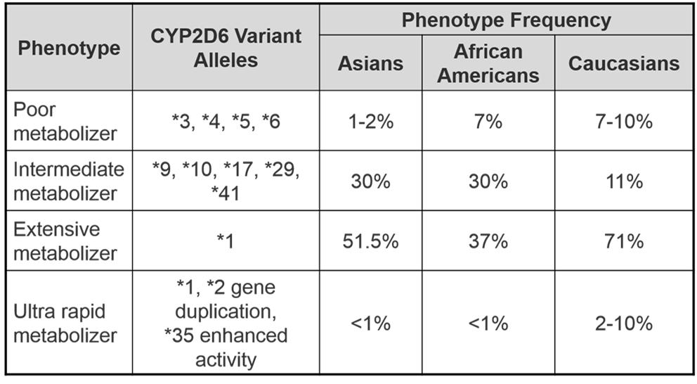 CYP2D6 Phenotype Correlation Gaston C and Kolesar J. Clin Adv Hematol Oncol. 2008;6:825-33.