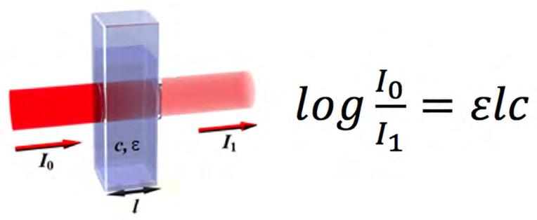 The amount of light that is absorbed is the logarithm of the starting intensity divided by the intensity that exits the sample.