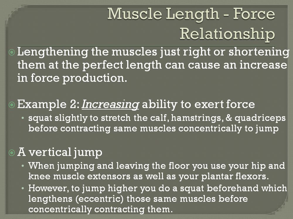Stretch beyond 100% to 130% of resting length