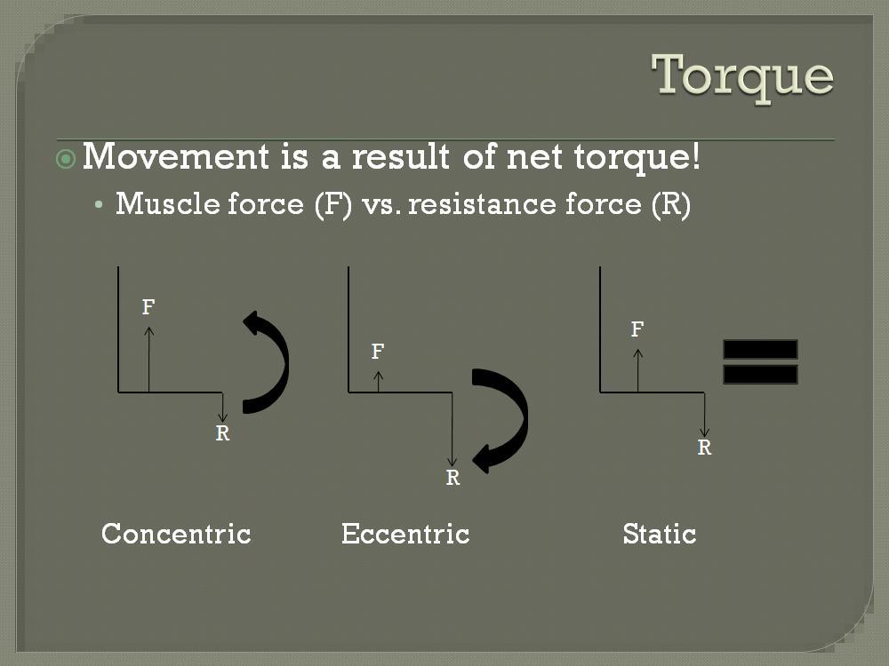 In the static position above, the muscle force equals the resistance force.