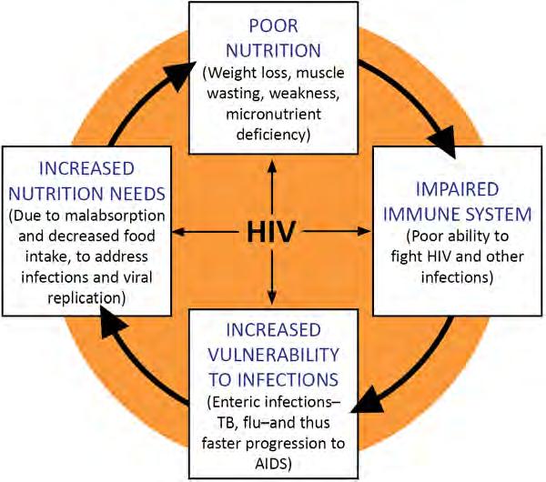 Background Food and Nutrition and HIV At the end of 2010, an estimated 34 million people were living with HIV, [4] 80 percent of them in southern Africa and Southeast Asia.