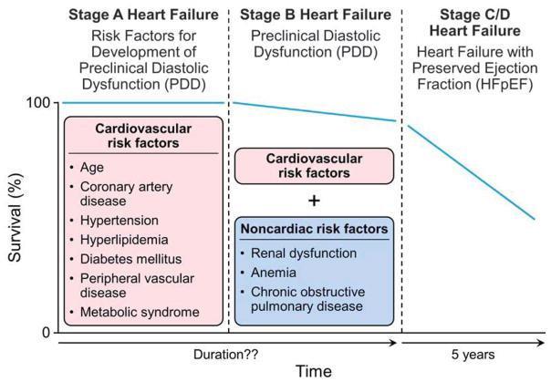 Cardiovascular and noncardiac risk factors in the development and progression of