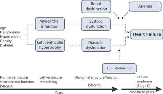 Interaction of cardiac and noncardiac dysfunctions