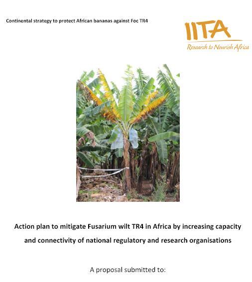 Actions to manage Foc TR4 in Africa 02/13: First symptoms observed 06/13: Fungus identified as FocTR4 08/13: Recommendations to farm 09/13: Mozambique NPPO visit 10/13: Stakeholder