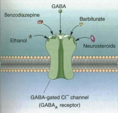 3 rd mechanism whereby psychoactive drugs have effects: Attaching to auxiliary binding sites on certain NT receptors Example: Auxiliary binding sites on GABA A receptor [Drug binding to