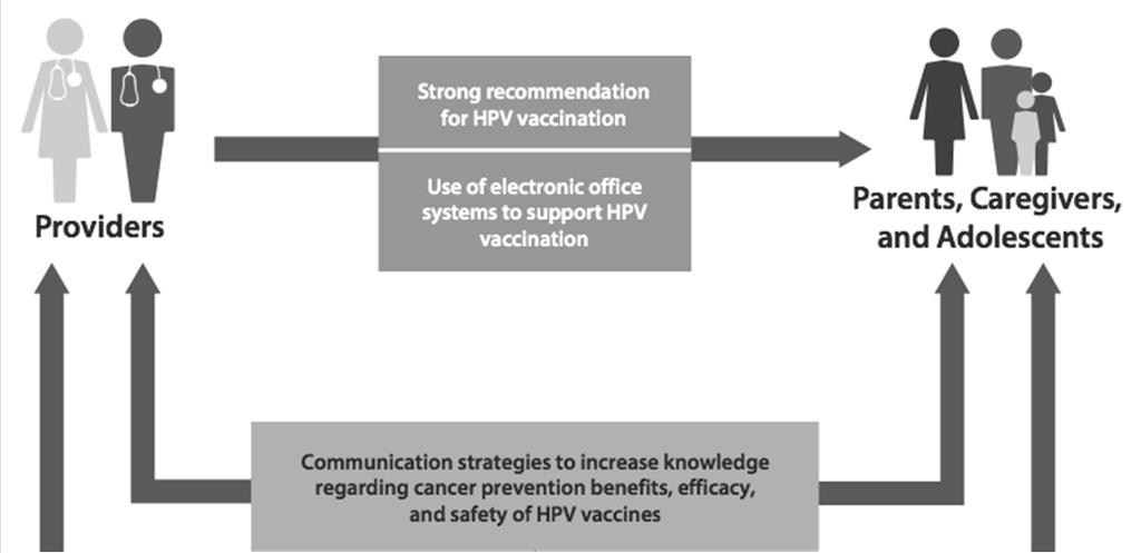 Multi-Level Strategies HBV/HCV In addition to vaccination providers can: Screen