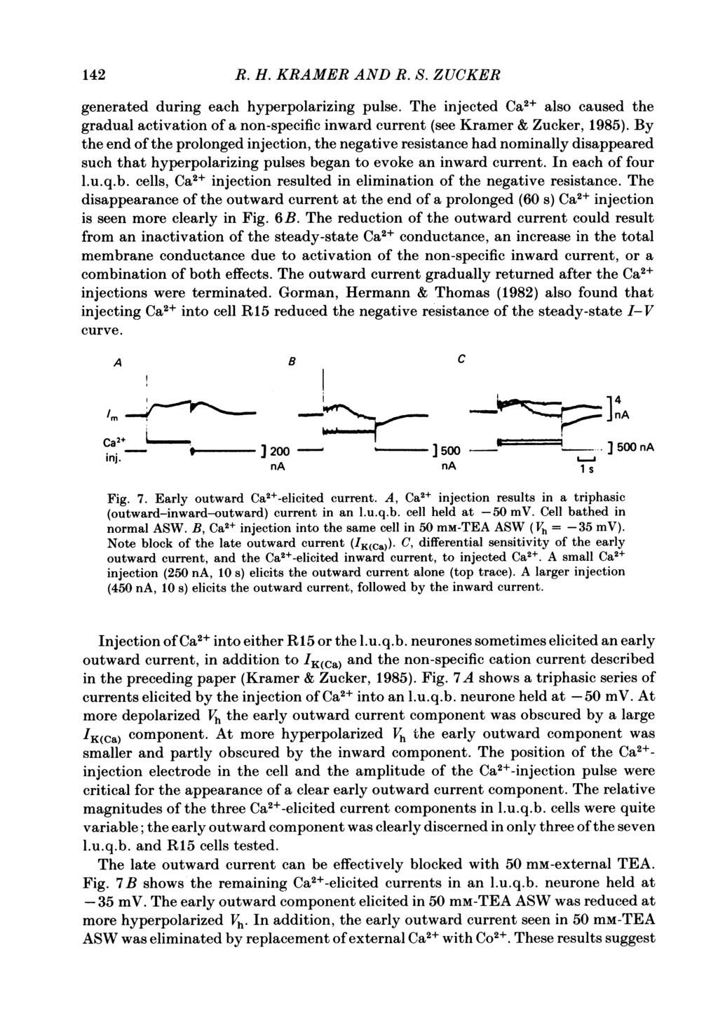 142 R. H. KRAMER AND R. S. ZUCKER generated during each hyperpolarizing pulse. The injected Ca2+ also caused the gradual activation of a non-specific inward current (see Kramer & Zucker, 1985).