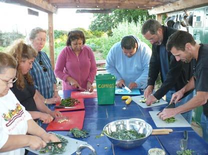 Summer (ctd): For Family: Youth grew 19 veggie shares (at Freewheelin Farm)