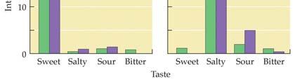 14 Coding of Taste Quality Labeled lines: Theory of taste coding in which each taste fiber carries a particular taste quality.