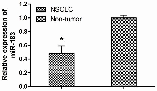 Figure 1. The relative expression level of mir-182 expression between NSCLC tissues and adjacent nontumor tissues. *P<0.05 Figure 2.