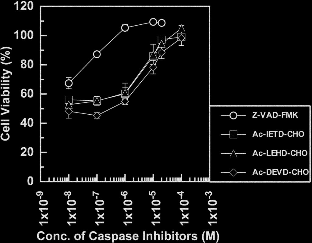 Caspase cascade in human endometrial cells (Figure 5a, lanes 3 9) and increased gradually up to 9 h (Figure 5b).