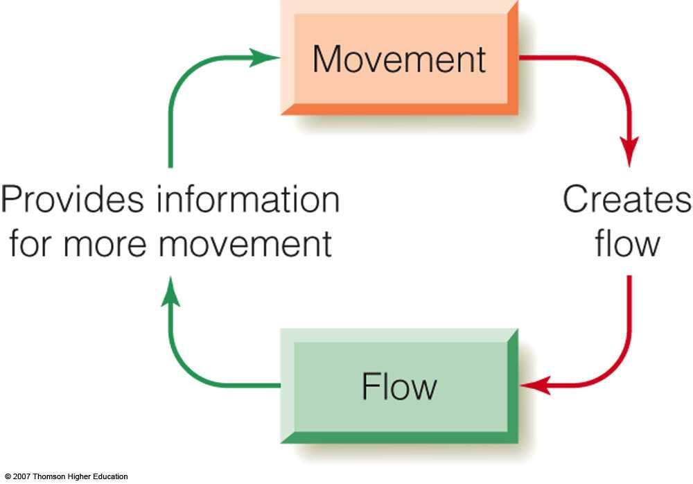 Optic flow is a good cue to determine where we are in the environment.