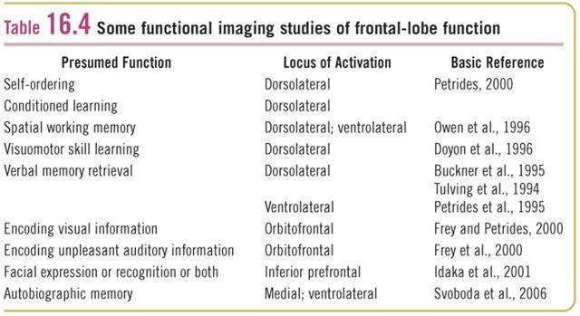 Imaging Frontal Lobe Function Diseases Affecting the Frontal Lobe
