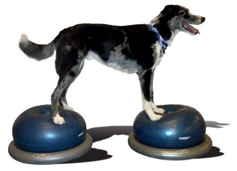 Use 2 Balance discs side by side to target front and hind end strength.