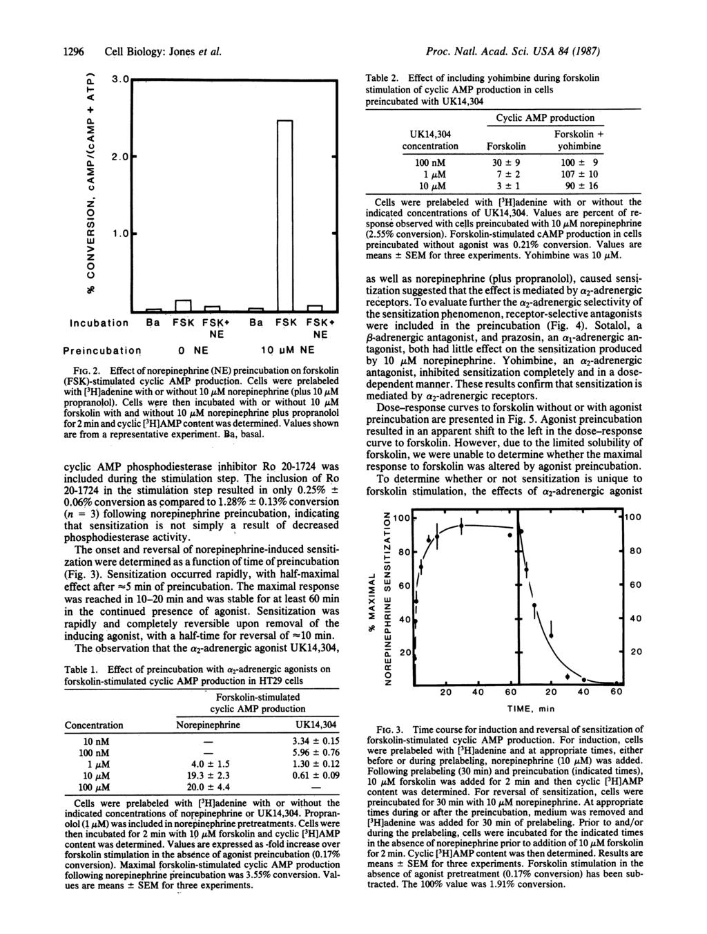 1296 Cell Biology: Jones et al. a- a. +CL -t a. z C,) cn z 2.1L 1.1 ncubation Preincubation _m n. Ba FSK FSK+ NE NE Ba FSK FSK+ NE 1 um NE FG. 2. Effect of norepinephrine (NE) preincubation on forskolin (FSK)-stimulated cyclic AMP production.
