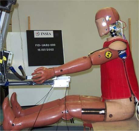 The structure of the dummy that is evaluated in these tests is the rib cage.