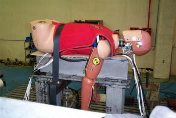 The belt was fixed to the ends of a rigid beam, placed below the table. From the beam centre a cable was connected to a controlled actuator that pulled down to compress the abdomen (see Figure ).