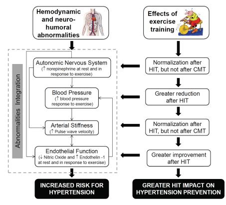Fig 2Schematic diagram representing the abnormities of normotensive individuals at risk of hypertension, the effect of exercise ie SIT vs ET and the implications for hypertension prevention (Ciolac