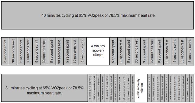 60rpm (Based on ACSM health guidelines, 1998) and adjust after the subsequent 4 week VO 2max test Finally those in the COMB group undertook a combination of the above two protocols based on the pilot