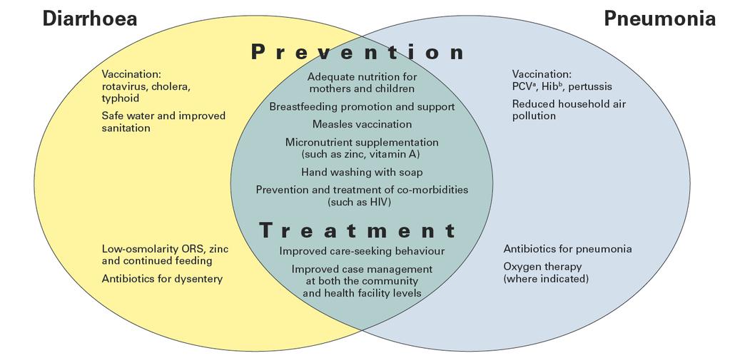 Treatment and preventative strategies for the prevention of childhood pneumonia and diarrhoea
