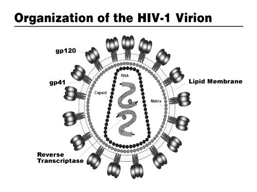INTRODUCTION At the time of the discovery of HIV and AIDS, it was difficult to imagine the proportions that the epidemic would grow to.