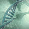infoaging guides BIOLOGY OF AGING DNA
