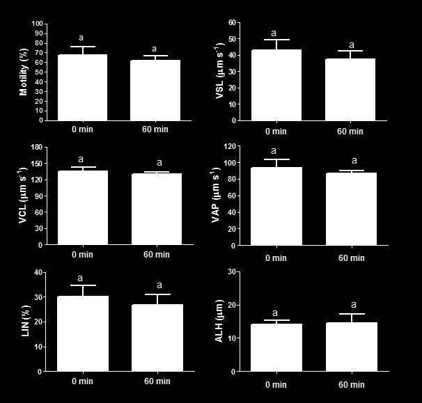 Effect of post-thw sperm storge on motility prmeters VCL ( m s -1 ) Motility (%) LIN (%) VAP ( m s -1 ) ALH ( m) VSL ( m s 1 ) Brown trout Brook trout 1 9 8 7