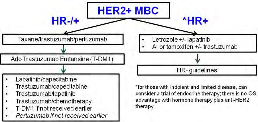 Current treatment options for HER2-positive MBC Qualifying statement: Although clinicians may discuss using endocrine therapy with or
