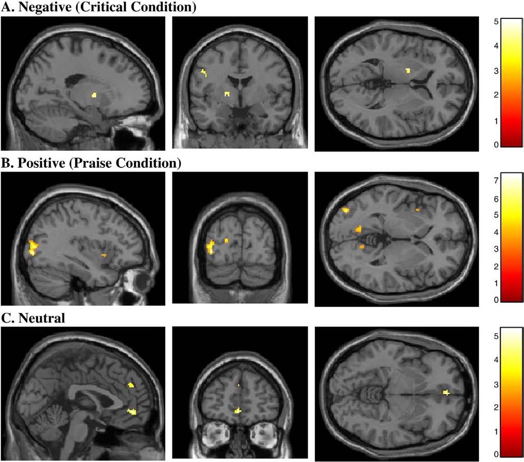 86 J.M. Hooley et al. / Psychiatry Research: Neuroimaging 17