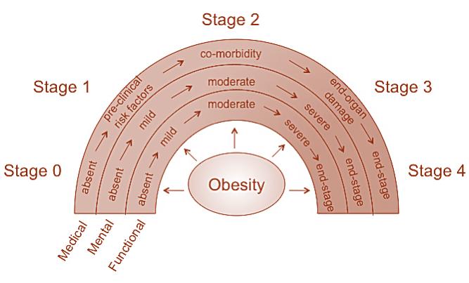 assessment: Amount of body fat Distribution of body fat Physiological impact of