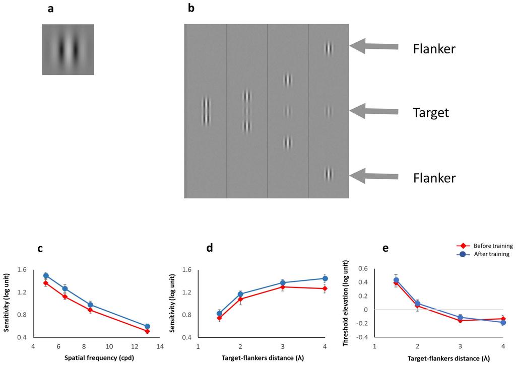 Figure 1 Improvement of contrast sensitivity and masking effects following training: (a) Example of a single Gabor target used in the experiments.